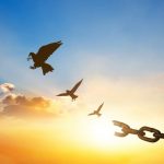 Conceptual image of a flying bird silhouetted against the sunset with a broken chain trailing behind.