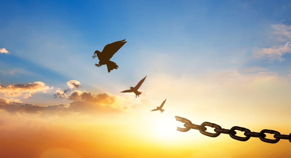 Conceptual image of a flying bird silhouetted against the sunset with a broken chain trailing behind.